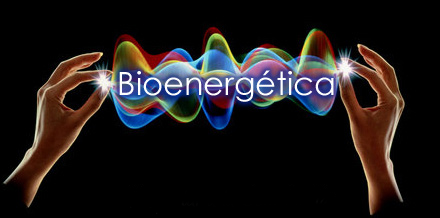 Bioenergetica 2015